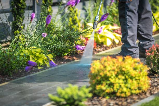Best Parking Lot and Garage Cleaning  in Penn Yan, NY