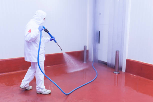 Reliable Penn Yan, NY Pressure Washing Services Solutions